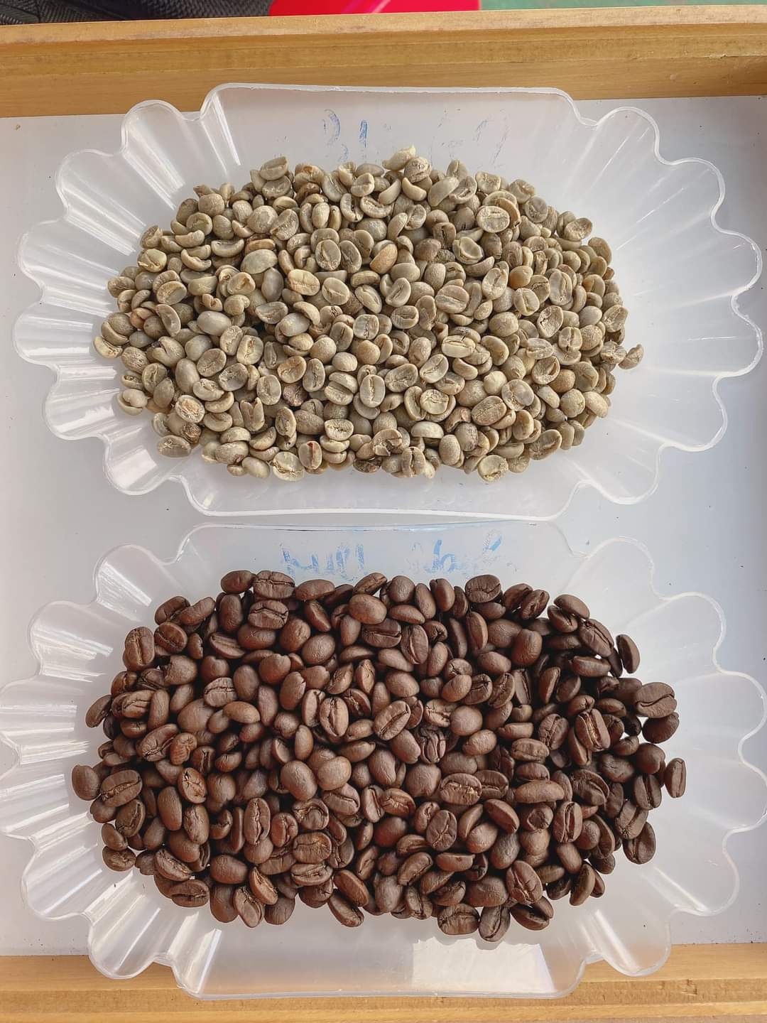Hamey Coffee